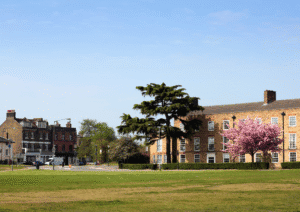 Expert Accountants Blackheath - AccounTax Zone -Limited