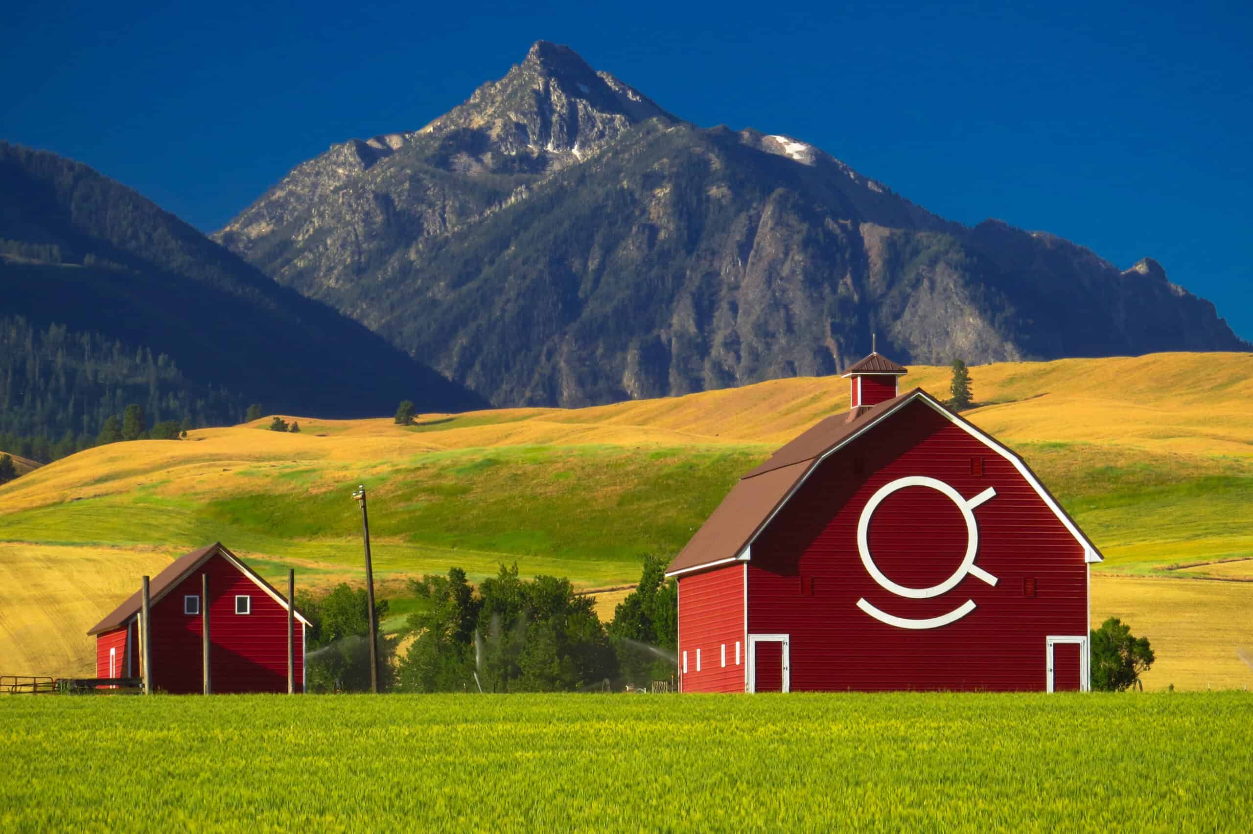 Passing on the farmhouse – Implications of the changes to APR and BPR - AccounTax Zone Limited